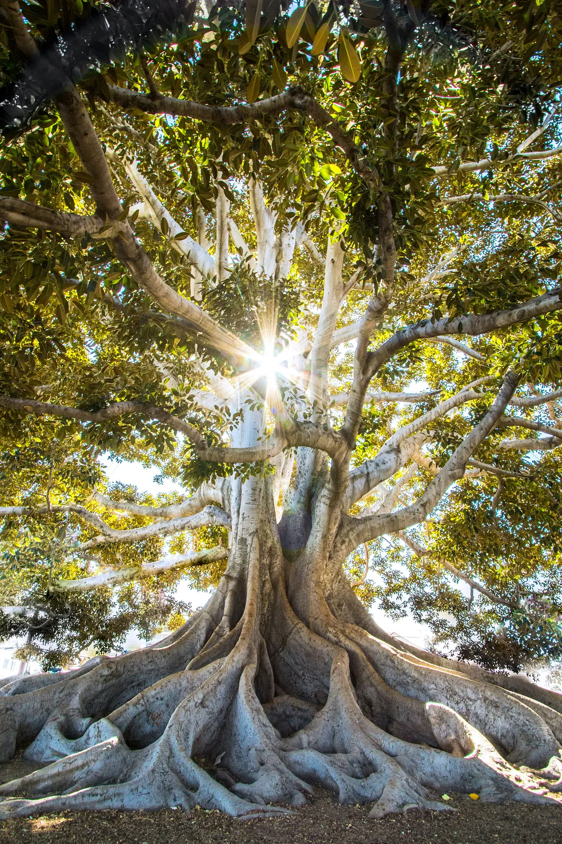 Why Balance Is the Secret to Sustainable Success